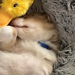 Darin Ball - Facebook