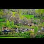 saadat M Ali - @darin.ballak - Instagram