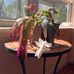 Darin Barr - Facebook