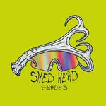 Darin Bartholomew - @shedheadshades - Instagram