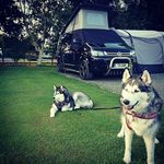 Darren Bates - @t5_dub_tastic - Instagram