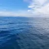 Darren Baumgarten - @darren.baumgarten2 - TikTok