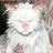 darinbelcher923 - @darinbelcher923 - TikTok