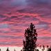 Darrin Blankenship - Facebook