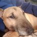 Darrin Blankenship - Facebook
