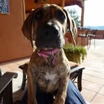 Darin Bowers - @_darin_bowers_ - Instagram