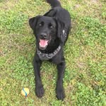 Darin Boyd - @darin.boyd.atx - Instagram