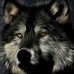 Darin Bradshaw - Facebook