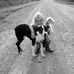 Darin Brehm - Facebook