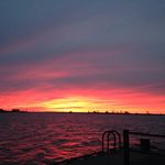 Darin Bush - @darinbush3 - Instagram
