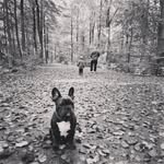 @darinchen_diy - Instagram