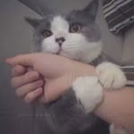 DarinZanyar - @darinchenchen - Instagram