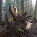 Darin Christensen - Facebook