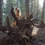 Darin Christensen - @darin.christensen.779 - Instagram
