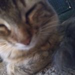 Darin Coker - @darin.coker.96 - Instagram