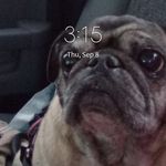 Darin Colbry - @colbrydarin - Instagram