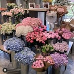 @darincooley1172 - Instagram