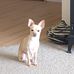Darian Greiner - Facebook