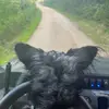 Darren Criner - @darren.criner - TikTok