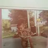 darincrites - @darincrites - TikTok