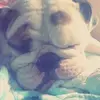 Darin Crosson - @darin.crosson - TikTok