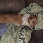 Darin Curtis - @darin.curtis.18 - Instagram