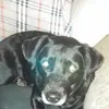 Darin Dale - @darin.dale - TikTok