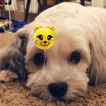Darin Decker - @darin_decker - Instagram