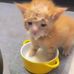 Dew Darin - Facebook