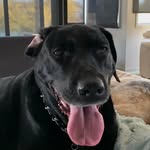 Darin Dingman - @darindingman - Instagram