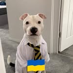 Darren Donaldson - @dono4967 - Instagram