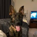 Darren Drummond - @daz_414 - Instagram