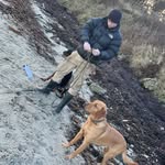 Darren Drummond - @dd1_dogtraining - Instagram