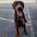 Darin Dunn - Facebook