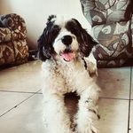 Darinel Moreno - @darinelmoreno1102 - Instagram