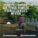 darinel moreno gomez - @gomezdarinelmoreno - Instagram
