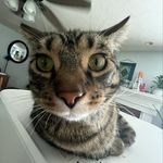 Darren Elmore - @delmo.spam - Instagram