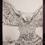 Darin Fitzgerald - @darinfitzgerald - Instagram