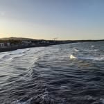 darren fitzgerald - @crazyirishdar - Instagram