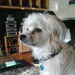 Darren Fitzgerald - @darren.fitzgerald - Instagram