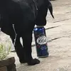 Darren Fitzgerald - @darren.fitzgerald - TikTok