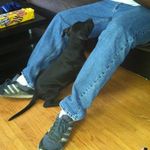 Darren Foote - @dfootebuma - Instagram