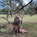 Darin Grimm - Facebook