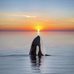 Darin Hanson - Facebook