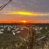 Darin Hudgens - @darinhudgens - TikTok