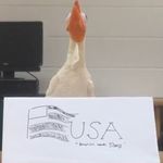 Darin Chicken Little - @_yungdarin_ - Instagram