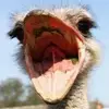 Darin Montgomery - @darin.montgomery8 - TikTok