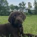 Darin Morgan - Facebook