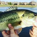 Darren Powell - @darren.powell.35728 - Instagram