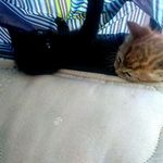 Darin Ray Lightle - @tenshadow4444 - Instagram